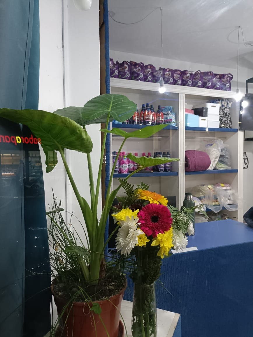 Impecable Express – local