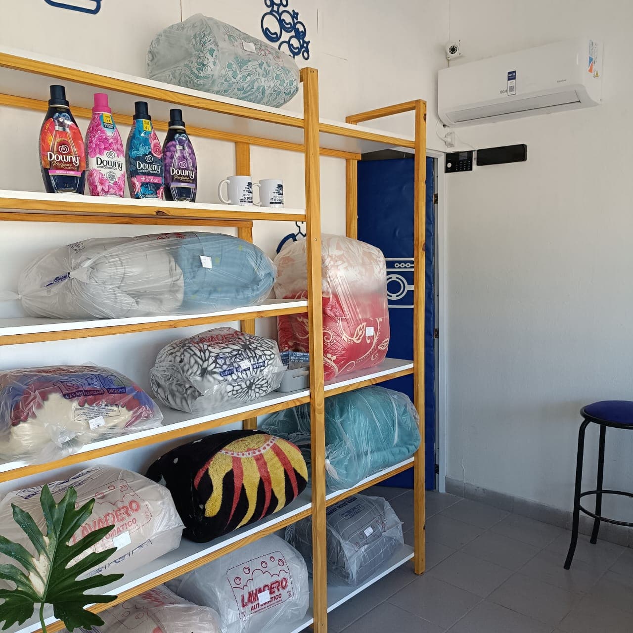 Impecable Express – local